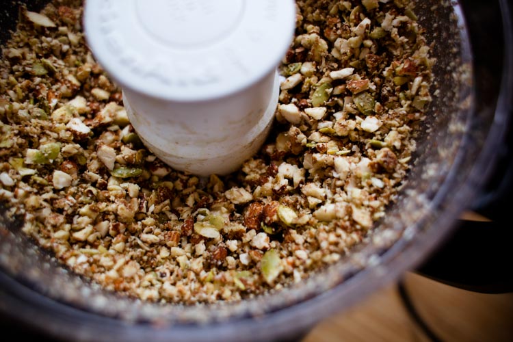 vegetarian pemmican bars 9 |www.sparklestories.com| libby & dish