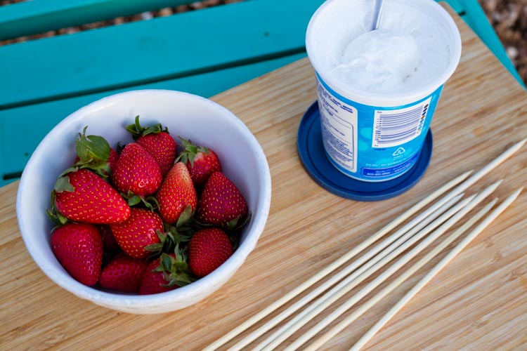 fire roasted marshmallow strawberries 3 |www.sparklestories.com| so many fairies