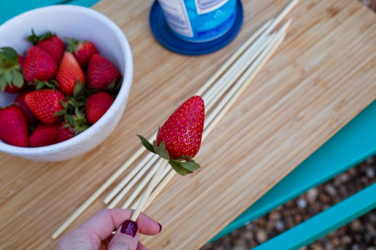 fire roasted marshmallow strawberries 2 |www.sparklestories.com| so many fairies