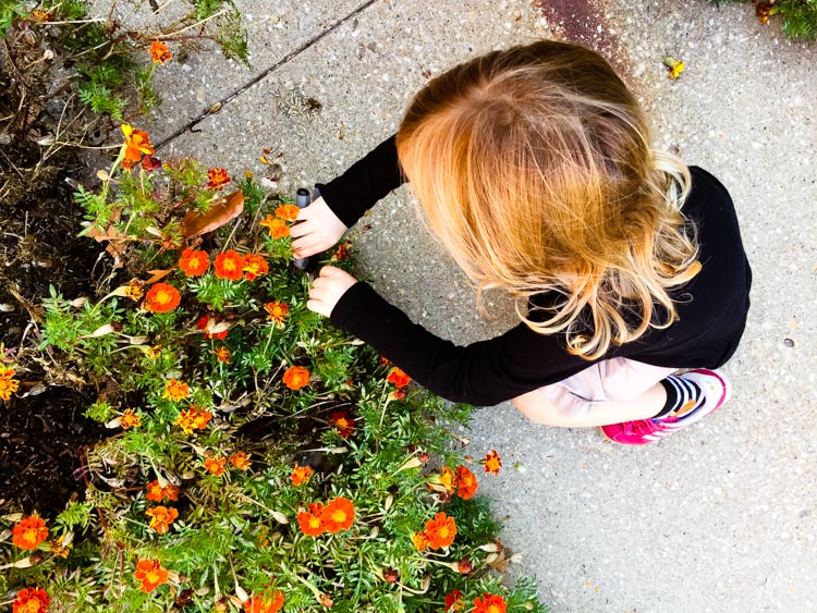 dia de los muertos marigold garland 3 |www.sparklestories.com| martin & sylvia
