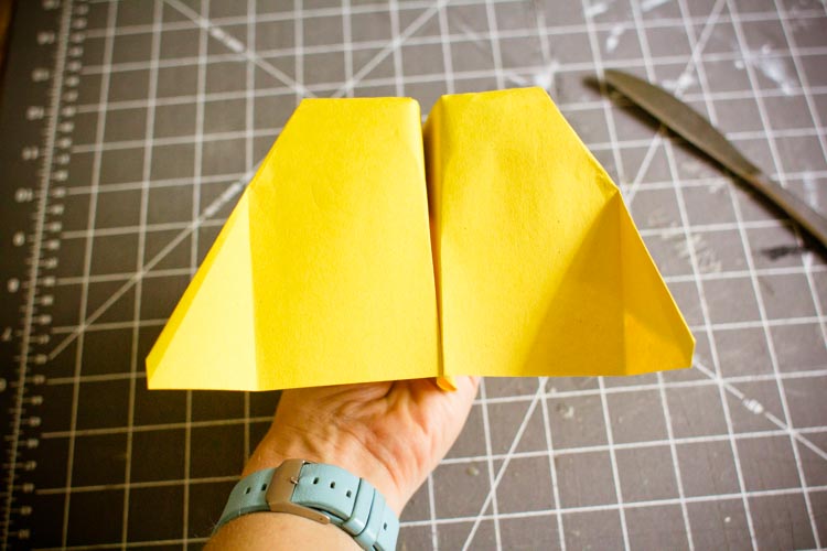 Blanche's Brave Glider 2