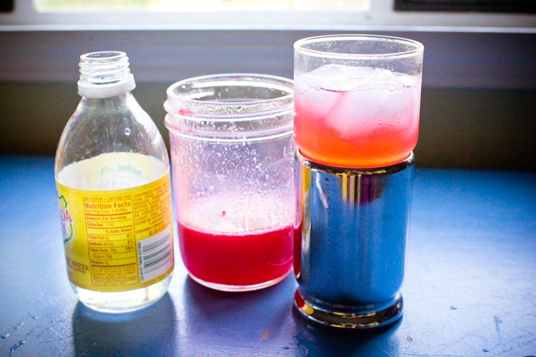 raspberry shrub 7 | www.sparklestories.com| by thistle by thimble