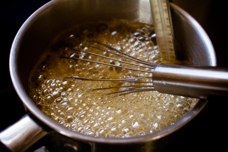 honey ginger cough drops 8| www.sparklestories.com| martin & sylvia: nature school