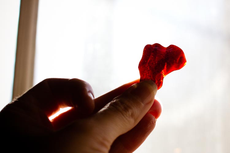 honey ginger cough drops 7 |www.sparklestories.com| martin & sylvia: nature school