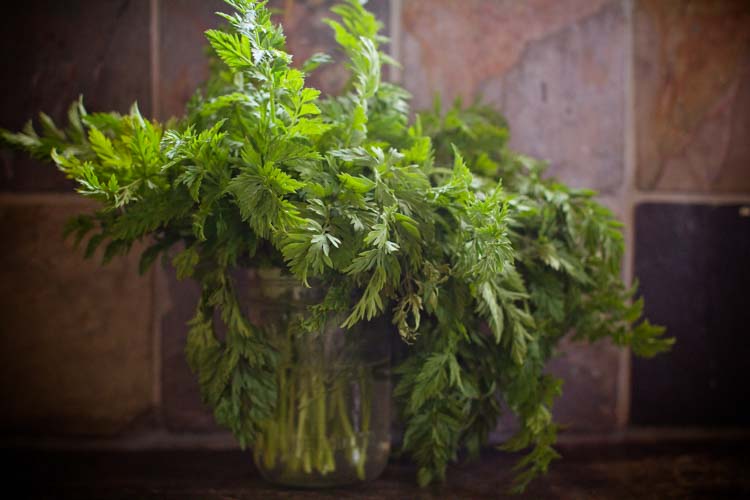 spring pesto meryl 1