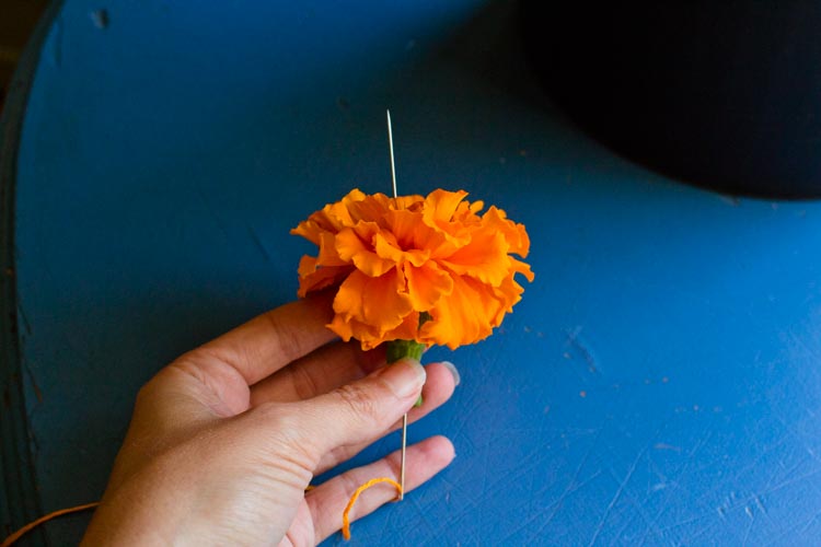 dia de los muertos marigold garland 8 |www.sparklestories.com| martin & sylvia