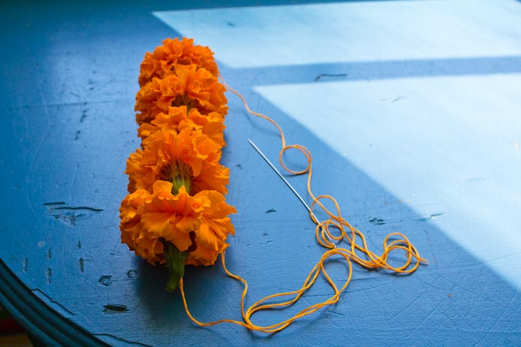 dia de los muertos marigold garland 11 |www.sparklestories.com| martin & sylvia