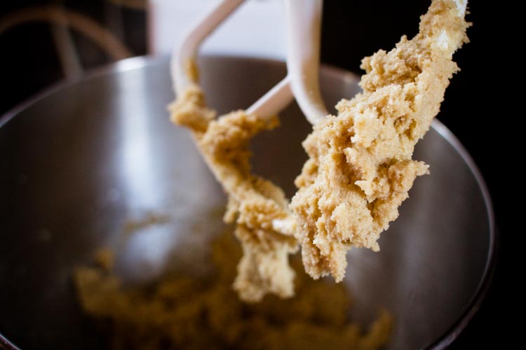 browned butter hickory nut shortbreads 1| www.sparklstories.com| so many fairies