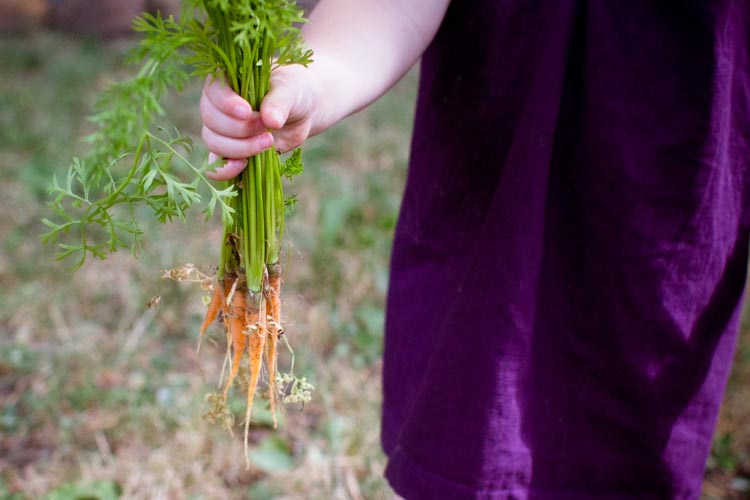 avocado yogurt dip 4 | www.sparklestories.com| martin & sylvia: saturdays!