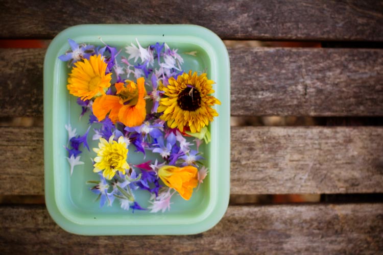 flowery-summer salad 4| www.sparklestories.com| junkyard tales: all together now