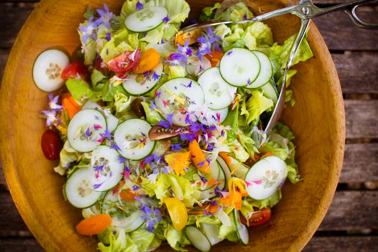 flowery-summer salad 3| www.sparklestories.com| junkyard tales: all together now