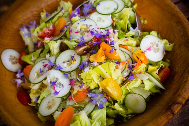 flowery-summer salad 1| www.sparklestories.com| junkyard tales: all together now