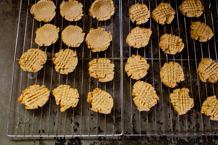 peanut butter ice cream sandwiches 4 |www.sparklestories.com| at home with martin & sylvia