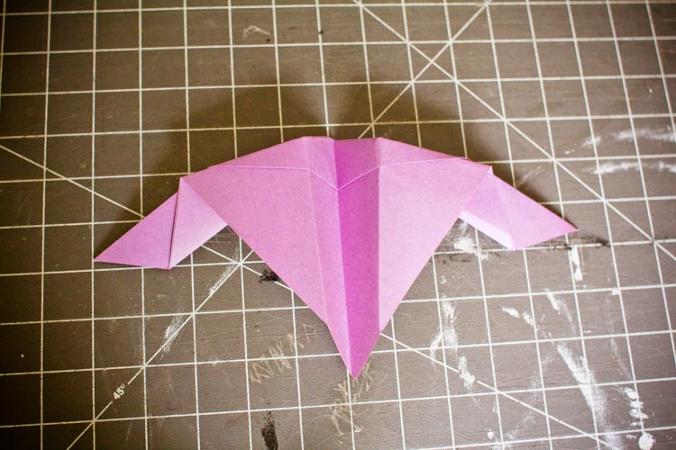 It's a Bird, It's a Plane!