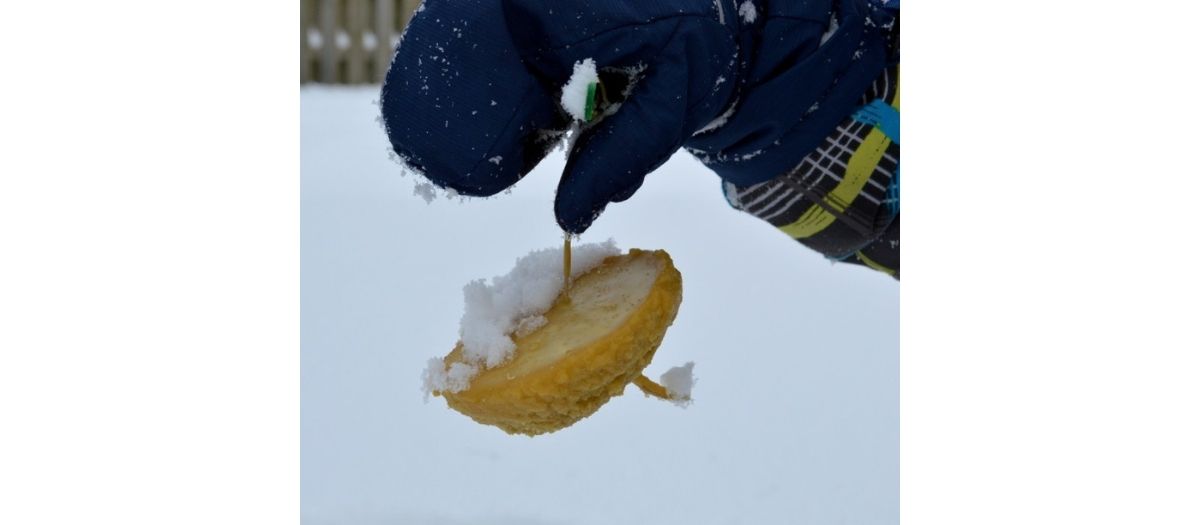 blog-Crafts and recipes Week Three Snow candles-1200-525-70KB-jpg