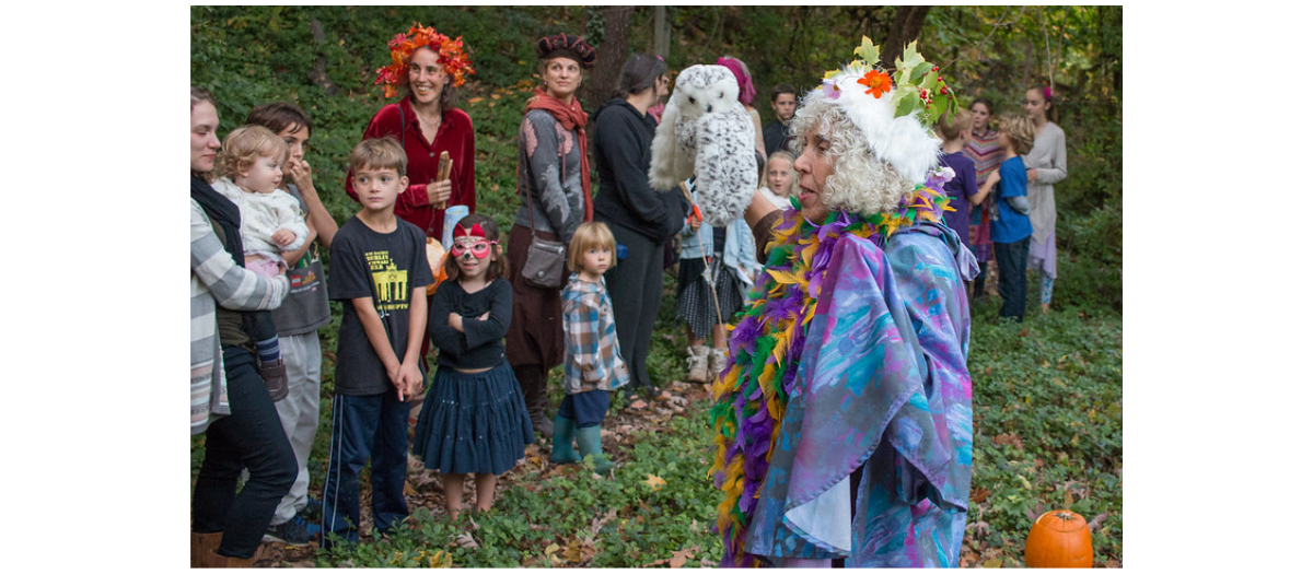 blog-forest-of-magic-and-mystery-album-1200-525 (2)