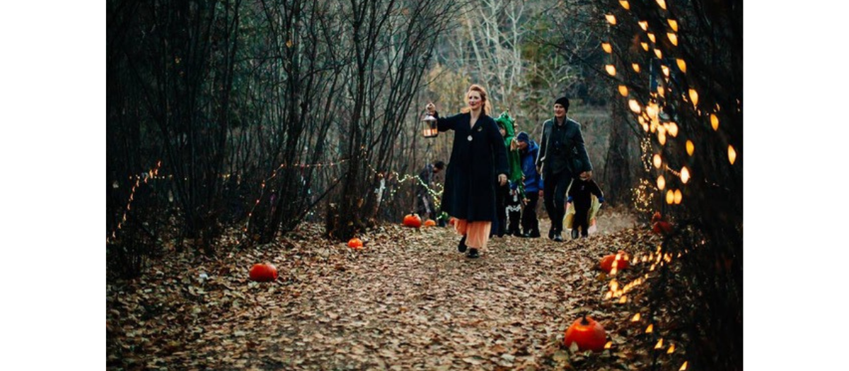 blog-forest-of-magic-and-mystery-album-1200-525 (3)