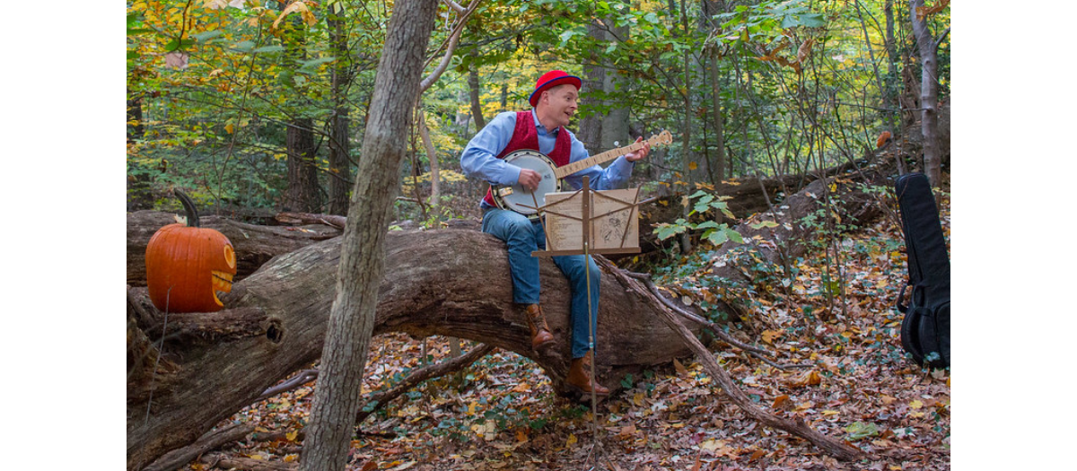 blog-forest-of-magic-and-mystery-album-1200-525 (8)