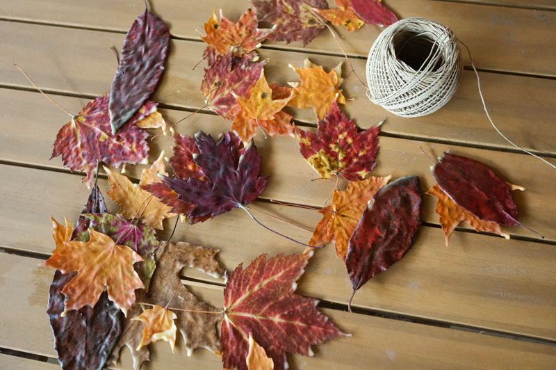 blog-nature school project waxed leaf banner-800 -532-128KB-jpg