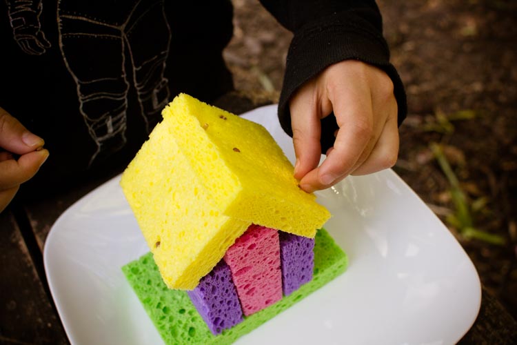 putting seeds in finished house