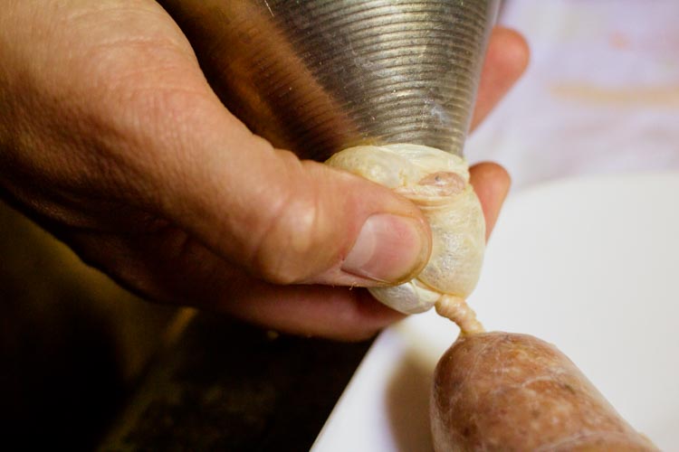 twisting the casing between links