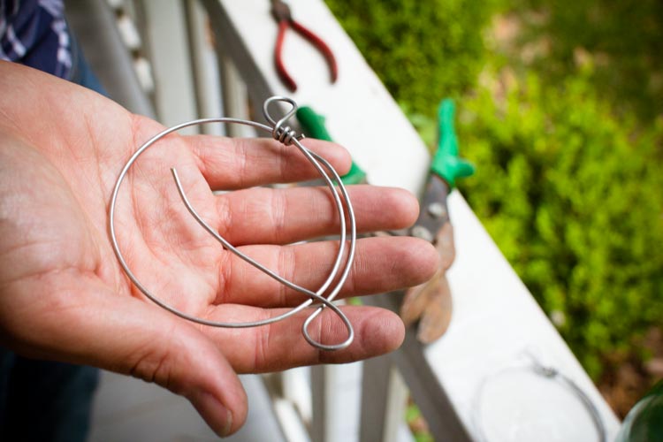 7 (cut tail for second loop)