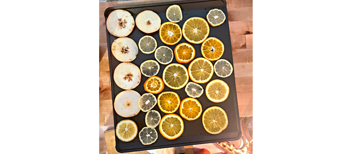 Blog-Citrus Slices-1200X525
