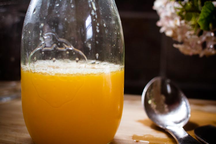 lilac oranginas 8 | www.sparklestories.com| so many fairies