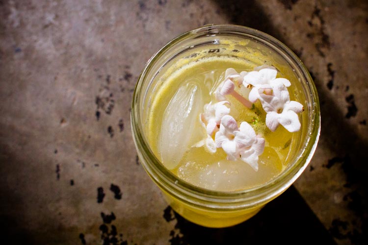 lilac oranginas 3 | www.sparklestories.com| so many fairies