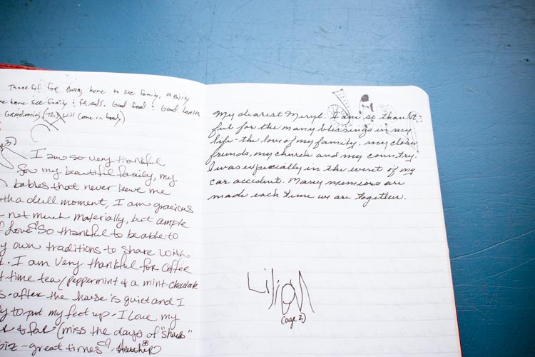 family thanksgiving book 9 | www.sparklestories.com| junkyard tales