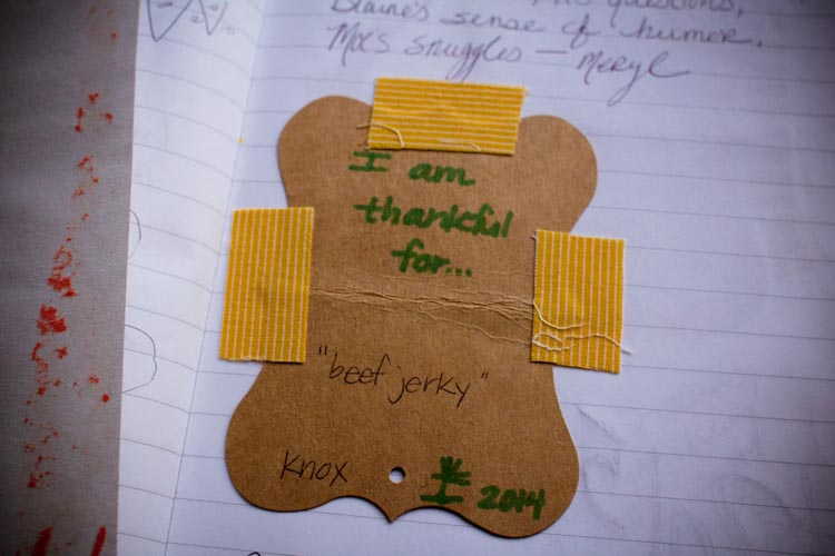 family thanksgiving book 7 | www.sparklestories.com| junkyard tales