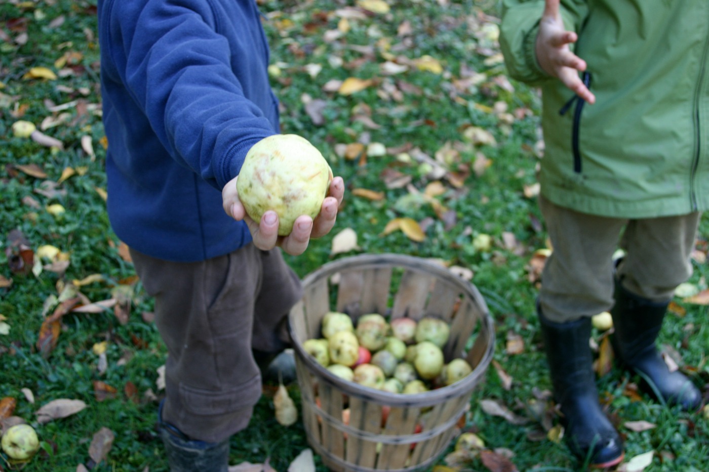 Spiced Applesauce 12