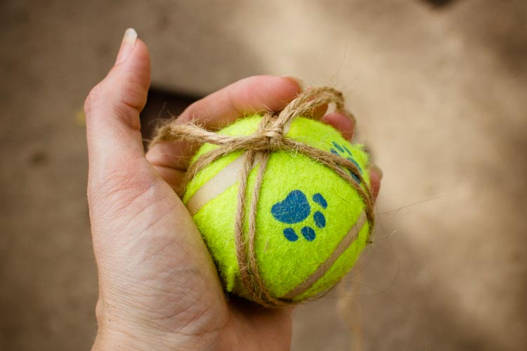 recycled bird feeder 2 |www.sparklestories.com| by thistle by thimble
