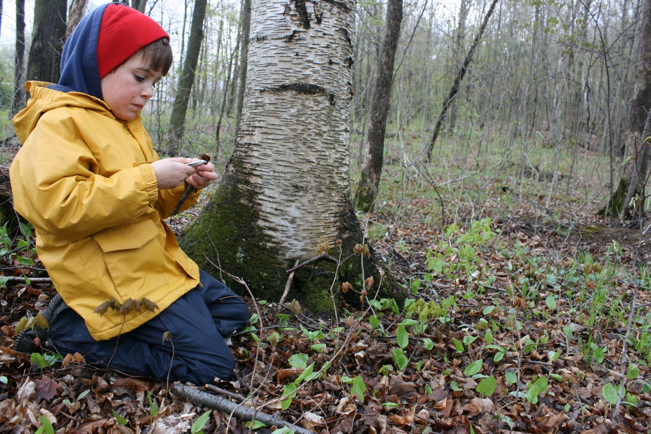buillding fairy houses in the woods