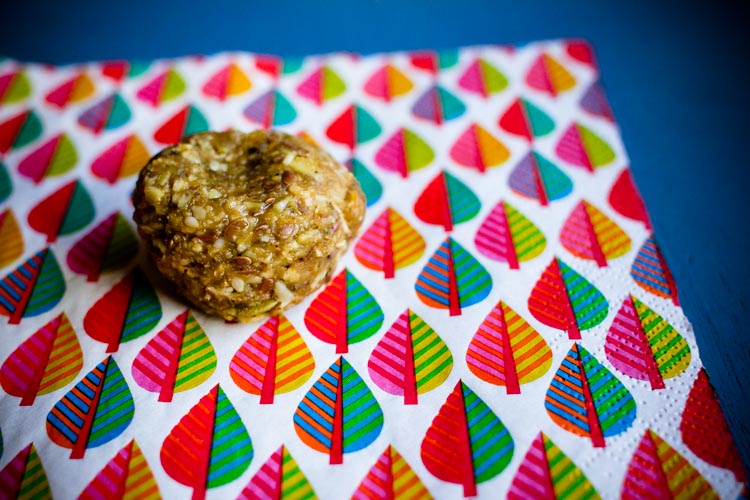 bird seed energy bites 5 | www.sparklestories.com| at home with martin & sylvia