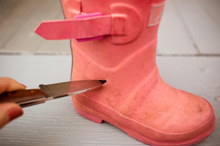 rainy boots "hens and chicks" planters 4 |www.sparklestories.com| at home with martin & sylvia