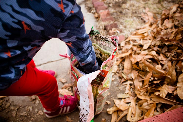 rainy boots "hens and chicks" planters 9 |www.sparklestories.com| at home with martin & sylvia