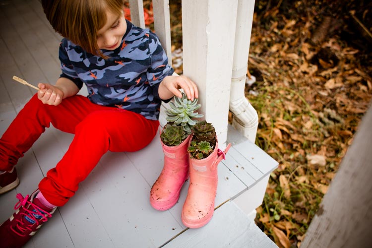 rainy boots "hens and chicks" planters 8 |www.sparklestories.com| at home with martin & sylvia