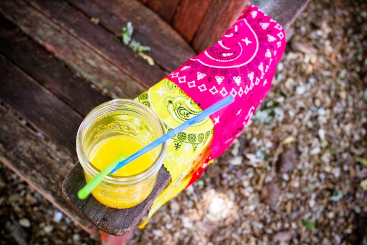 daddy's pollination game 6 |www.sparklestories.com| martin & sylvia