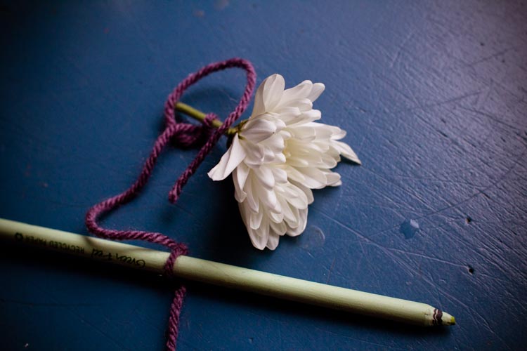 snow flower crystals 6 |www.sparklestories.com| so many fairies