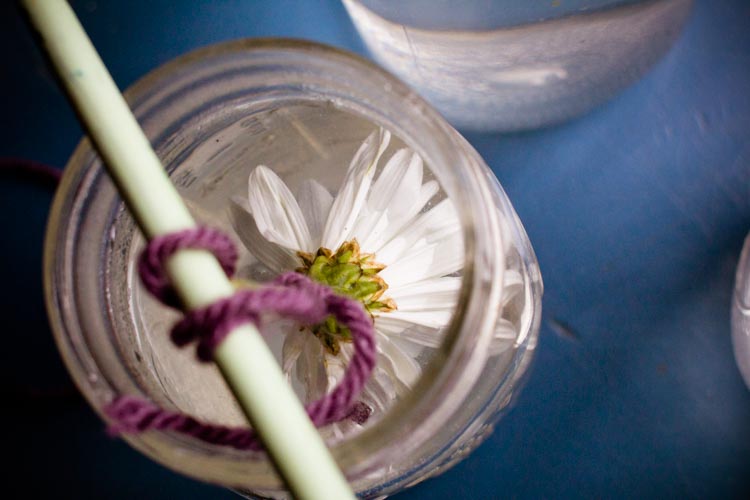 snow flower crystals 8 |www.sparklestories.com| so many fairies