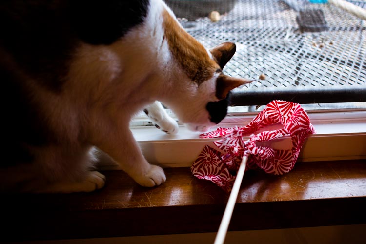 easy cat wands 5 | www.sparklestories.com| junkyard tales