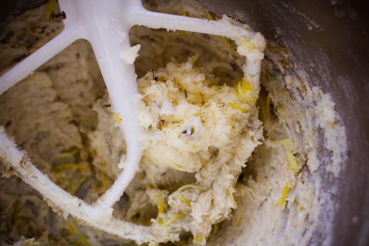 starry night chamomile shortbreads 3 |www.sparklestories.com| at home with martin & sylvia