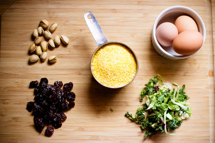 octopus dog toy 10 |www.sparklestories.com| martin & sylvia's: saturdays!