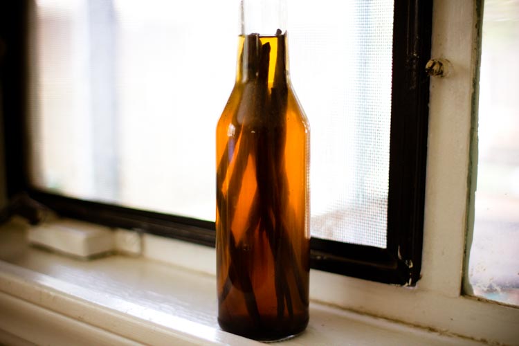 mangos vanilla meryl 4