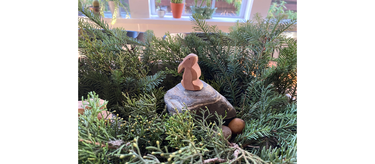 Blog- Winter Advent Nature Table