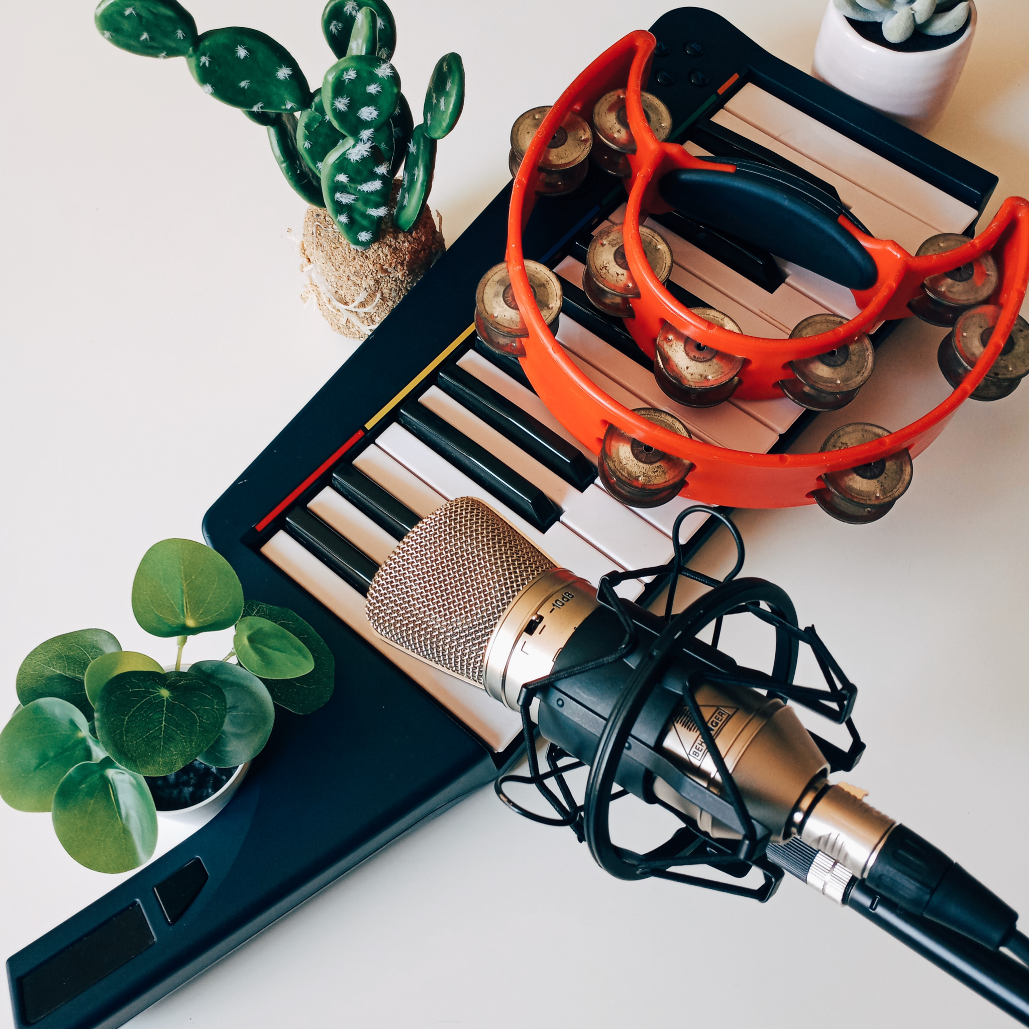 Singalong: Instruments