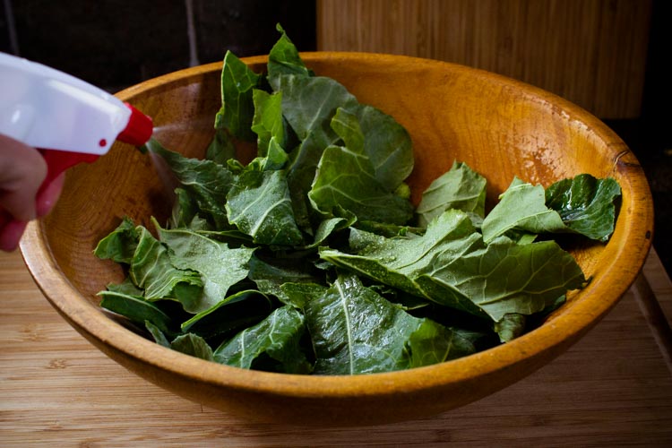 collard green chips 4 | www.sparklestories.com| martin & sylvia's nature school