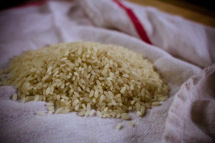 onigiri 1| www.sparklestories.com| martin & sylvia: Saturdays!