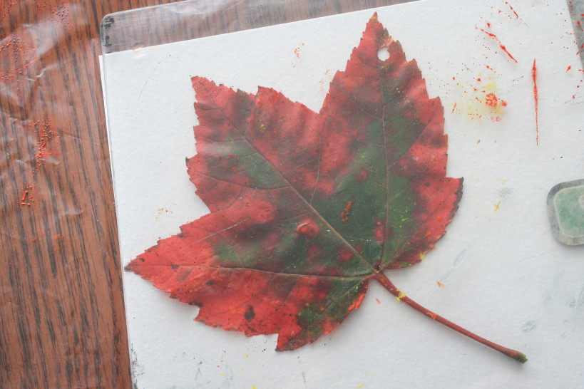Leaf-printing Dawn5